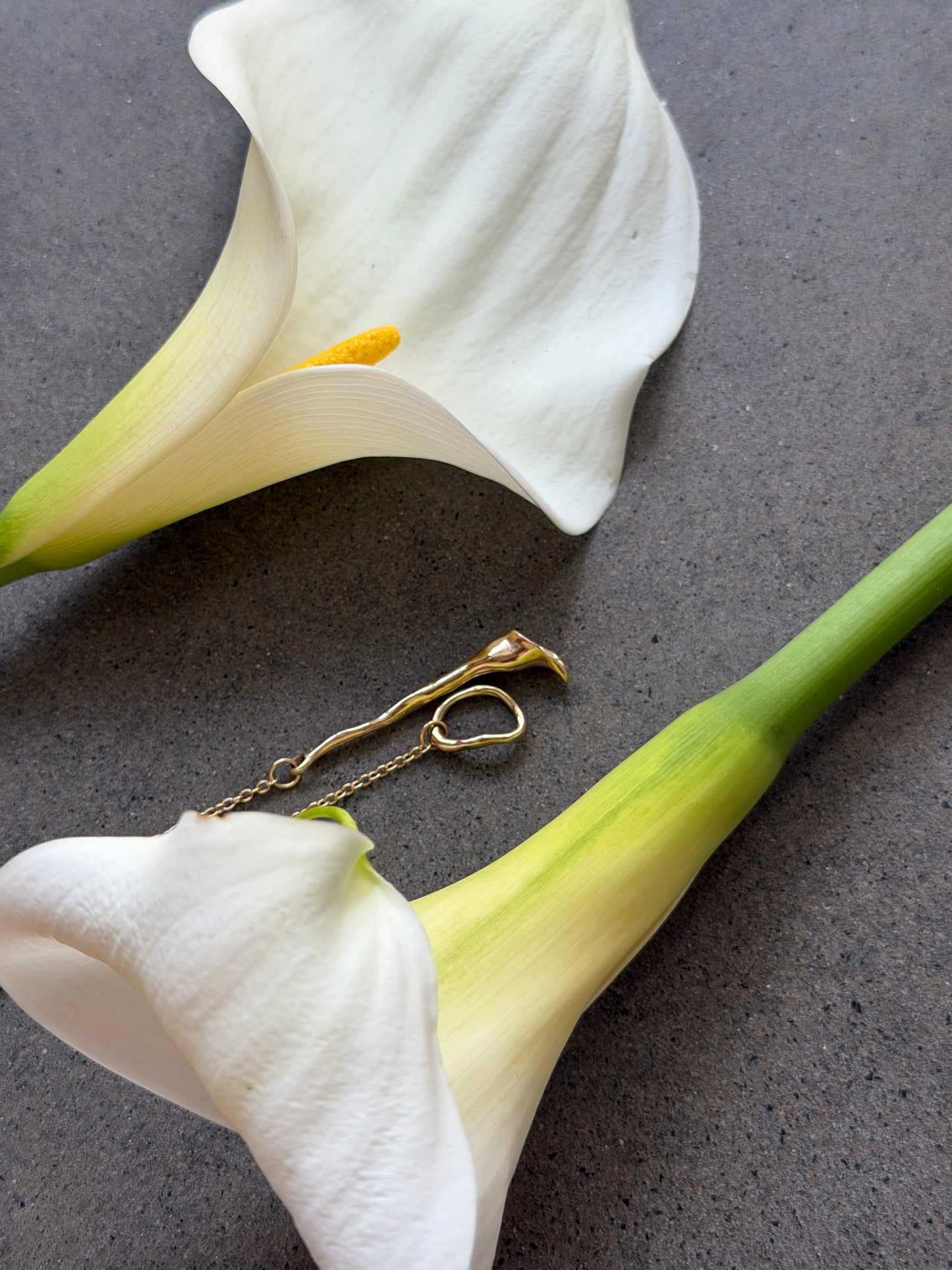 Calla Lily