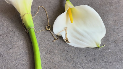Calla Lily
